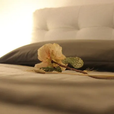 Domus Aurea Hotel 4*