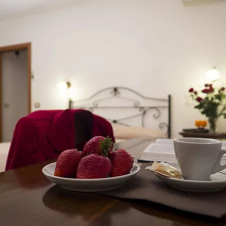 Hotel Domus Aurea 4*